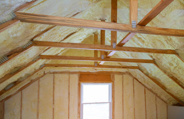 Professional Insulation Contractor in WI